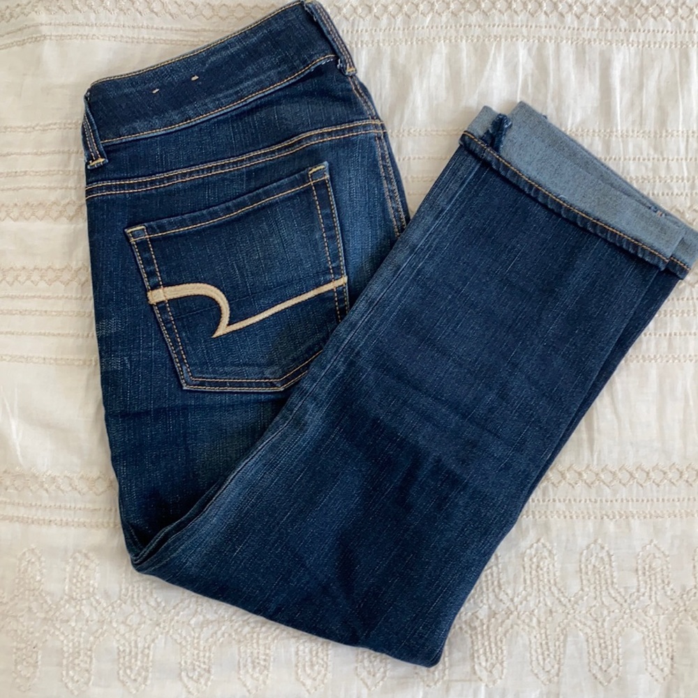 American Eagle Artist crop sz4